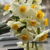 اطلاع رسانی در مورد خرید خانه