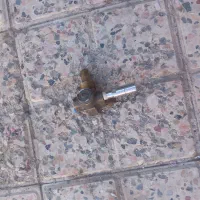 کالسکه عصایی تاشو ریگلاتور شیر مخزن سی انجی فرمان|کالسکه و لوازم جانبی|مشهد, شهرک امام سجاد|دیوار