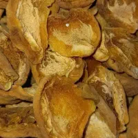 برگه زردآلو(قیسی)شیرین و خوشمزه