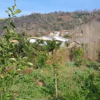 ۲۳۰۰متر زمین کاملا مسکونی|فروش زمین و ملک کلنگی|اطاقور, |دیوار