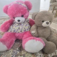 یه جفت عروسک تدی