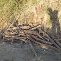 کارگر چوب بر نیازمندم