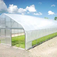 نگهبان شب در گلخانه