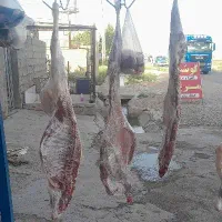 گوشت درجه یک