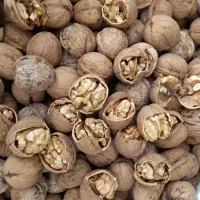 گردکان تازیی محلیه