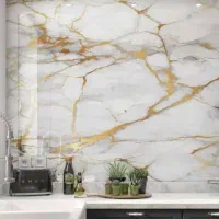 کاشی‌کار و سرامیک کار و موزائیک کار|خدمات پیشه و مهارت|اردبیل, |دیوار