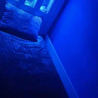 تخت یک نفره|تخت و سرویس خواب|بوشهر, |دیوار