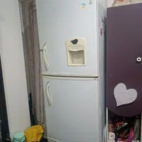 یخچال فریز جواهرات تهران