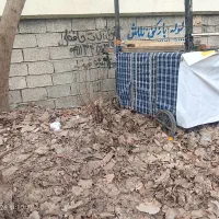 گاری سالم  محکم اماده حرکت