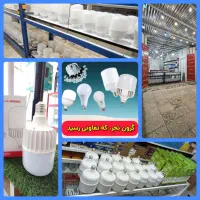 مرکز فروش و تعمیر لامپ و پروژکتور در فیروزآباد