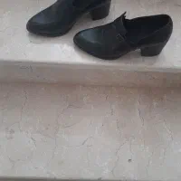 کفش مجلسی|کیف، کفش، کمربند|زنجان, |دیوار