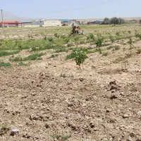 فروش‌۱۰۰۰متر‌زمین‌ در کنار آسفالت جاده شبستر صفیان