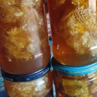 عسل وحشی برداشت شده از کوهای بشاگرد