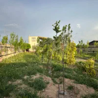 مرکزفروش باغ ویلاآماده خوش قیمت زاک/ماریان/امتیاز
