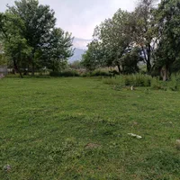 فروش زمین ۹۴۰ وشمه  سرا قابل تفکیک