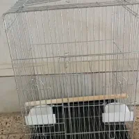 قفس پرنده نو واستفاده نشده