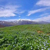 راهنماییمیخواستم