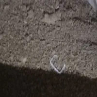 فروش کودخفاش هرکیلو ۱۵۰هزار|خدمات باغبانی و درختکاری|ساری, |دیوار