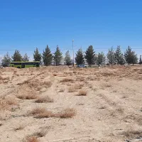 زمین باغی پلاک دوم بلوار آزادگان