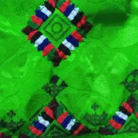 دوچگرکپنال واینه وسرتوپ|لباس|ایرانشهر, |دیوار