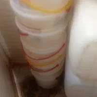 سطل