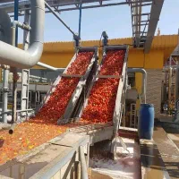 استخدام کارگرساده کارخانه رب