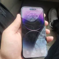 iphone 14pro|موبایل|مشهد, مقدم|دیوار