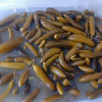 خیارشور و ترشیجات.زیتون