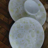 سرویس آرک اوپال فرانسوی