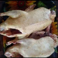 ارگانیک . اردک محلی باغی420