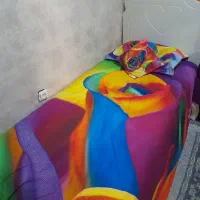 روتختی یک نفره نونو