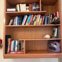 تخت و میز تحریر و کتابخانه