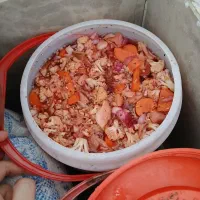 ترشی خانگی گل کلم اعلا فقط کیلویی ۱۵۰ تومن|خوردنی و آشامیدنی|کرج, شهرک شهرداری|دیوار