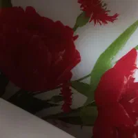 ارکوفام شیشه ای ۶ نفره