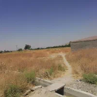 فروش زمین|فروش زمین و ملک کلنگی|شیراز, کفترک|دیوار