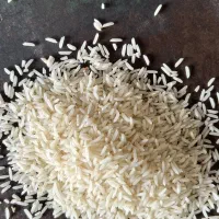 برنج شیرودی سوپر لوکس|خوردنی و آشامیدنی|بهشهر, |دیوار