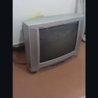 تلوزیون