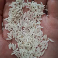 برنج اعلا هاشمی گیلان فومن|خوردنی و آشامیدنی|تهران, مینابی|دیوار