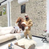 چرم های گوسفندی خاص