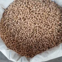 نخود قیدار