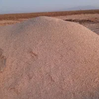 نزدیک یک تن کاه