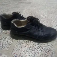 کفش زنانه فروشی