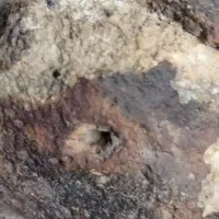 سنگ قیمتی|کلکسیون و سرگرمی|نیشابور, مازول|دیوار