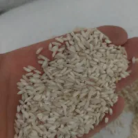 برنج قلوه|خوردنی و آشامیدنی|زرگرشهر, |دیوار