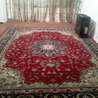 سوییت طرف بهمن
