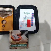 فروش دو ساز خاص و کلکسیونی باهم