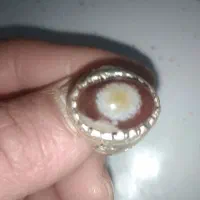 انگشتر باباقوری مشه ای|جواهرات|قنوات, |دیوار