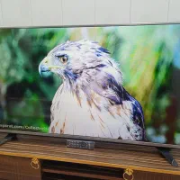 ال ای دی ۴۹اینج الجی کره اصل درحدصفر نونو|تلویزیون و پروژکتور|سنندج, |دیوار