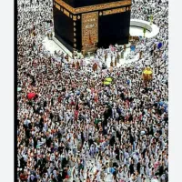 فروش فیش حج تمتع آذر ۸۶