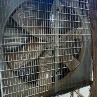 فن هواکش گلخانه و مرغداری